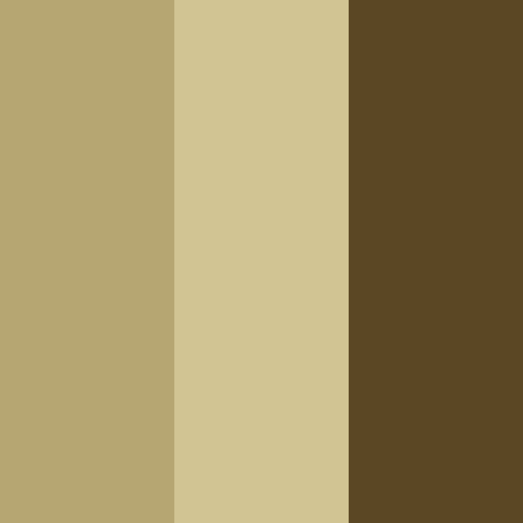 Download dark brown color palette PNG image (square)