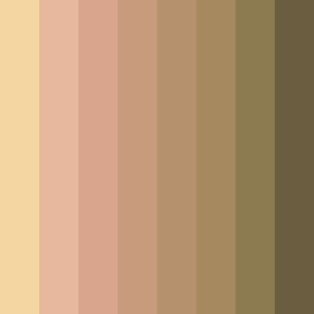 Download warm brown color palette PNG image (square)