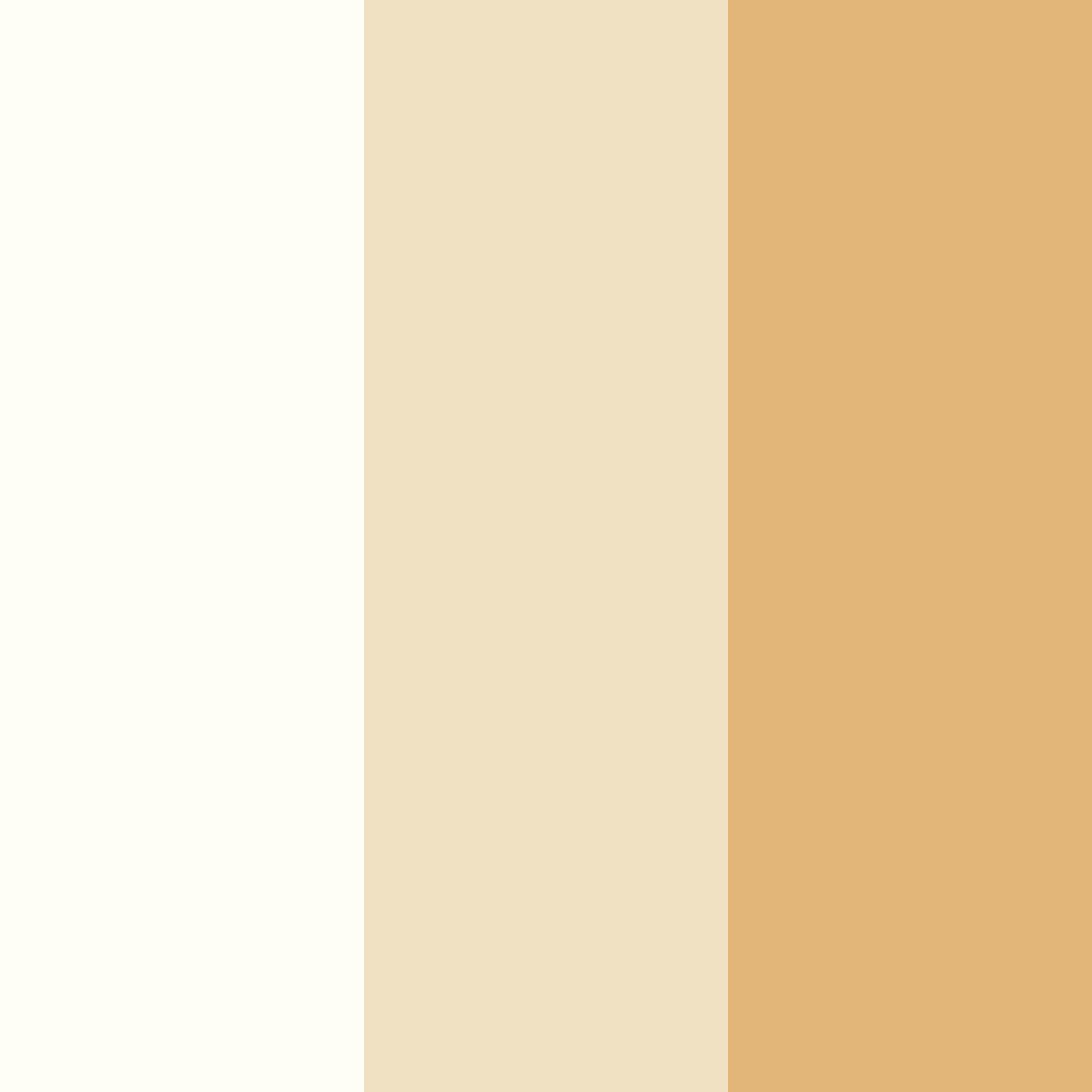 Download light beige color palette PNG image (square)