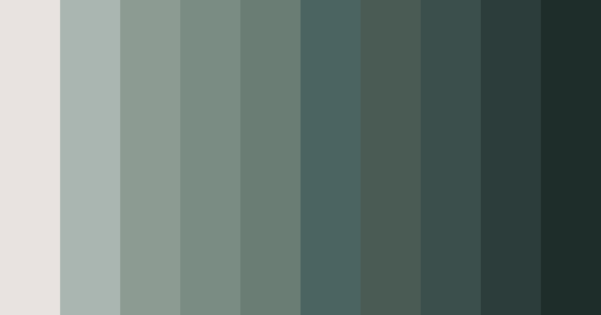 Download misty forest embrace color palette PNG image (landscape)