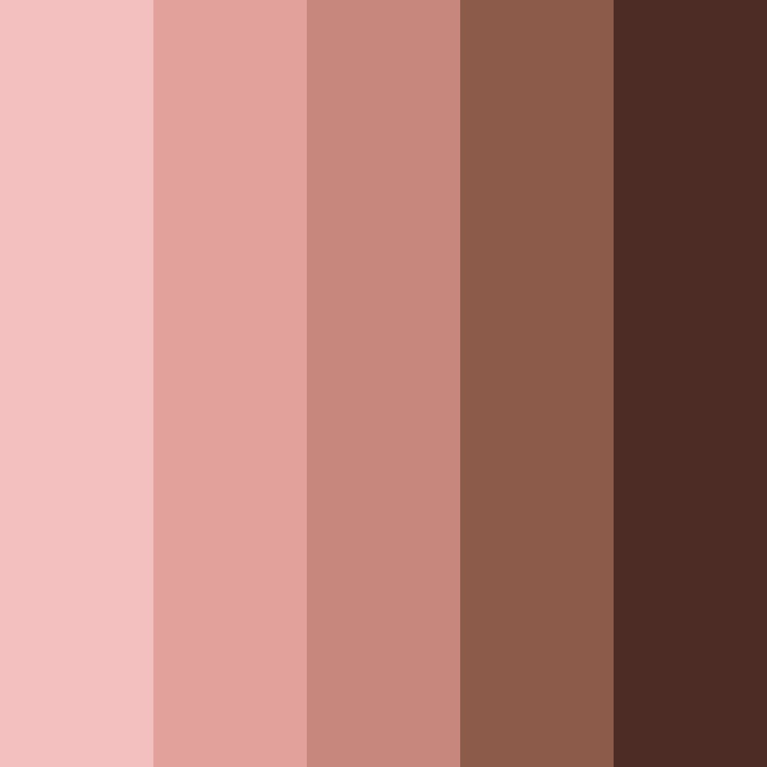 Download rustic rosewood color palette PNG image (square)