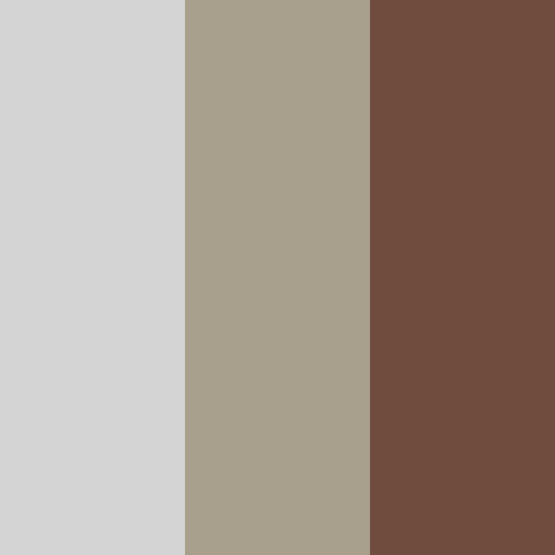 Download gray wood color palette PNG image (square)