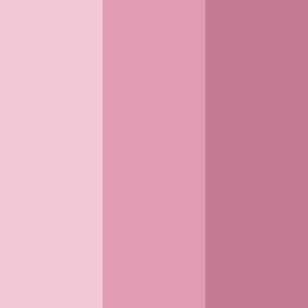Download dusty rose shades color palette PNG image (square)