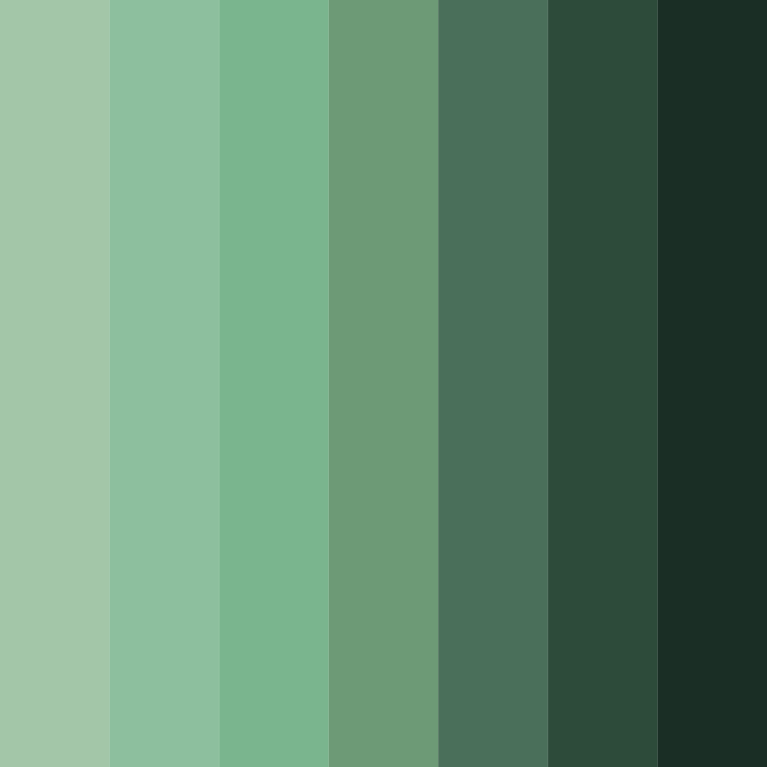 Download dark green forest color palette PNG image (square)