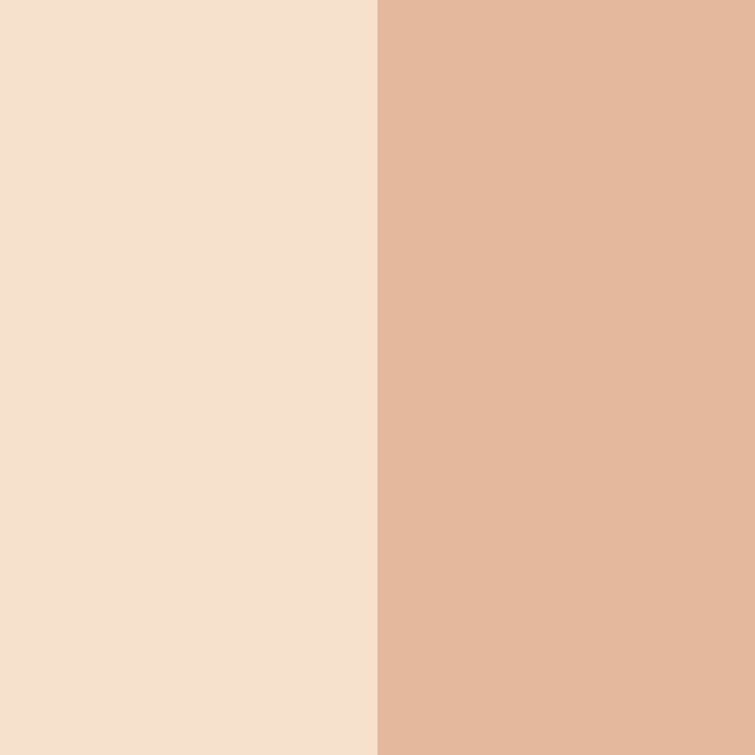 Download peachy beige color palette PNG image (square)