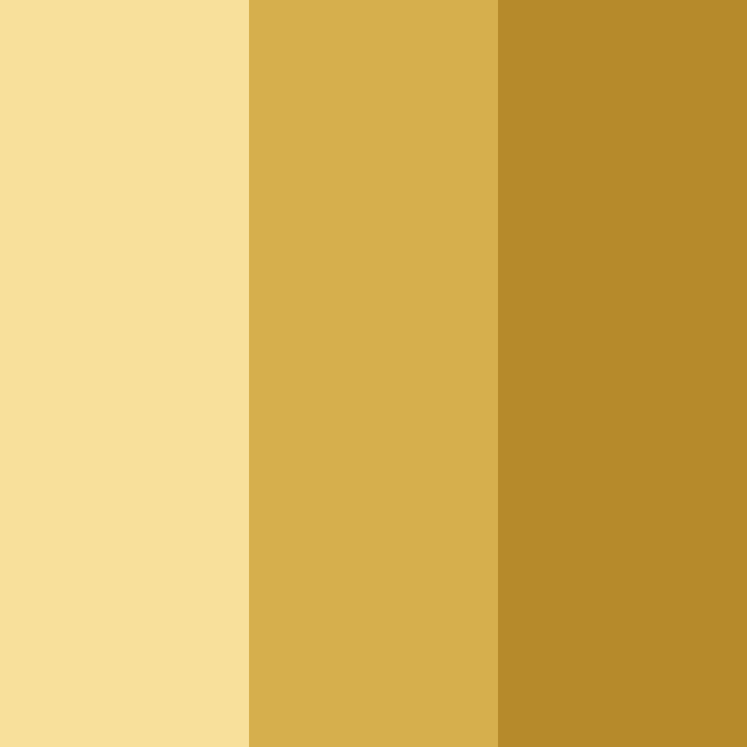 Download golden harvest color palette PNG image (square)