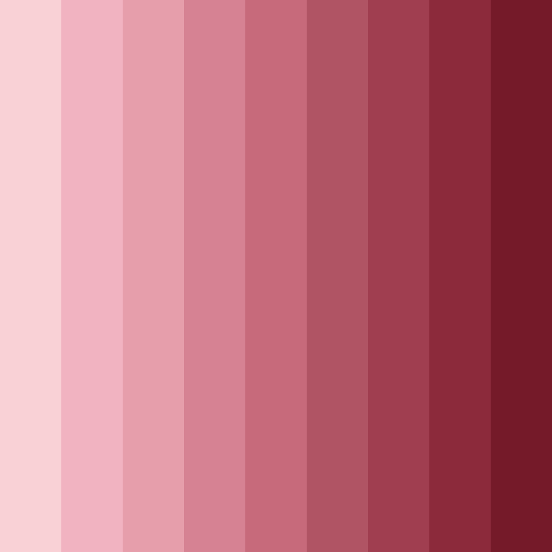 Download pink shell color palette PNG image (square)