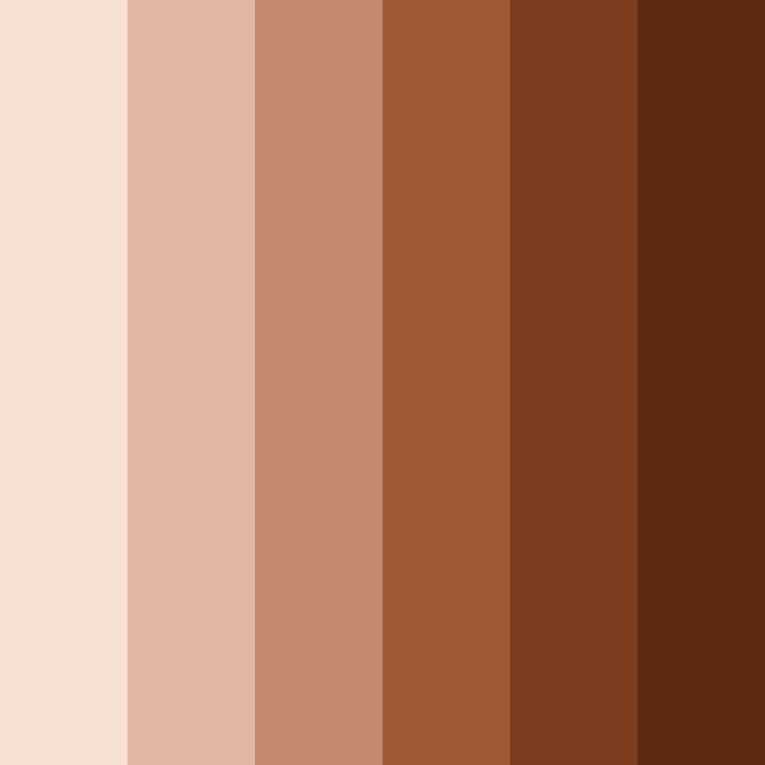 Download chocolate brown color palette PNG image (square)