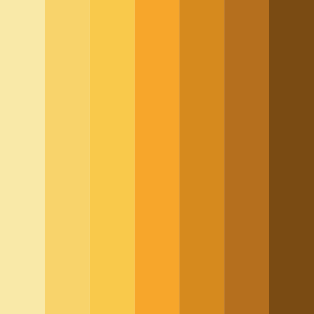 Download citrus burst color palette PNG image (square)