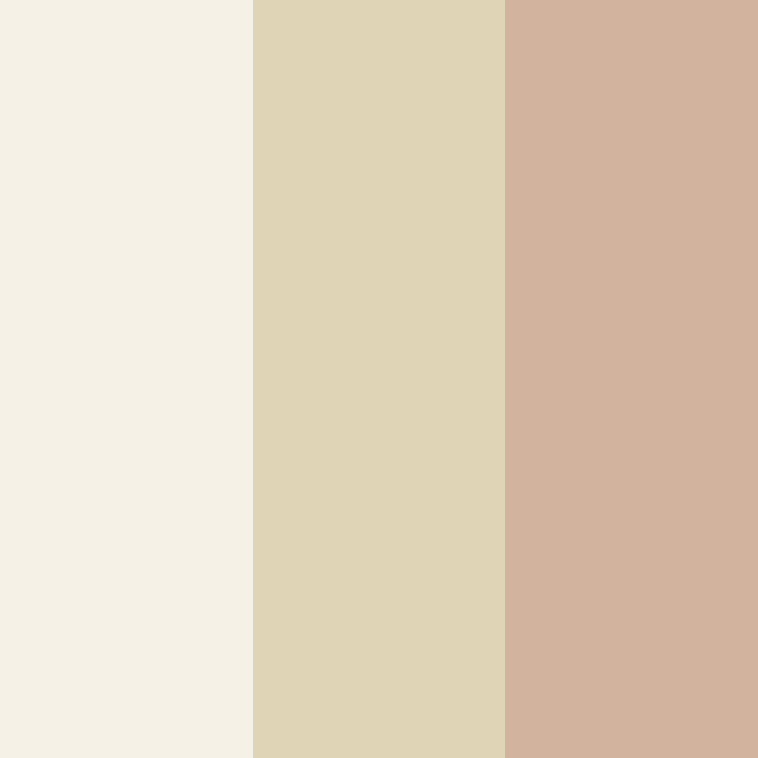 Download soft beige color palette PNG image (square)