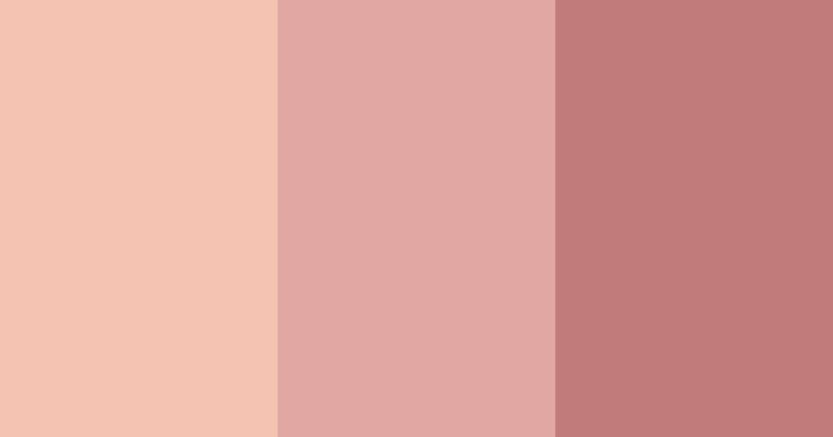 Download peachy skin color palette PNG image (landscape)