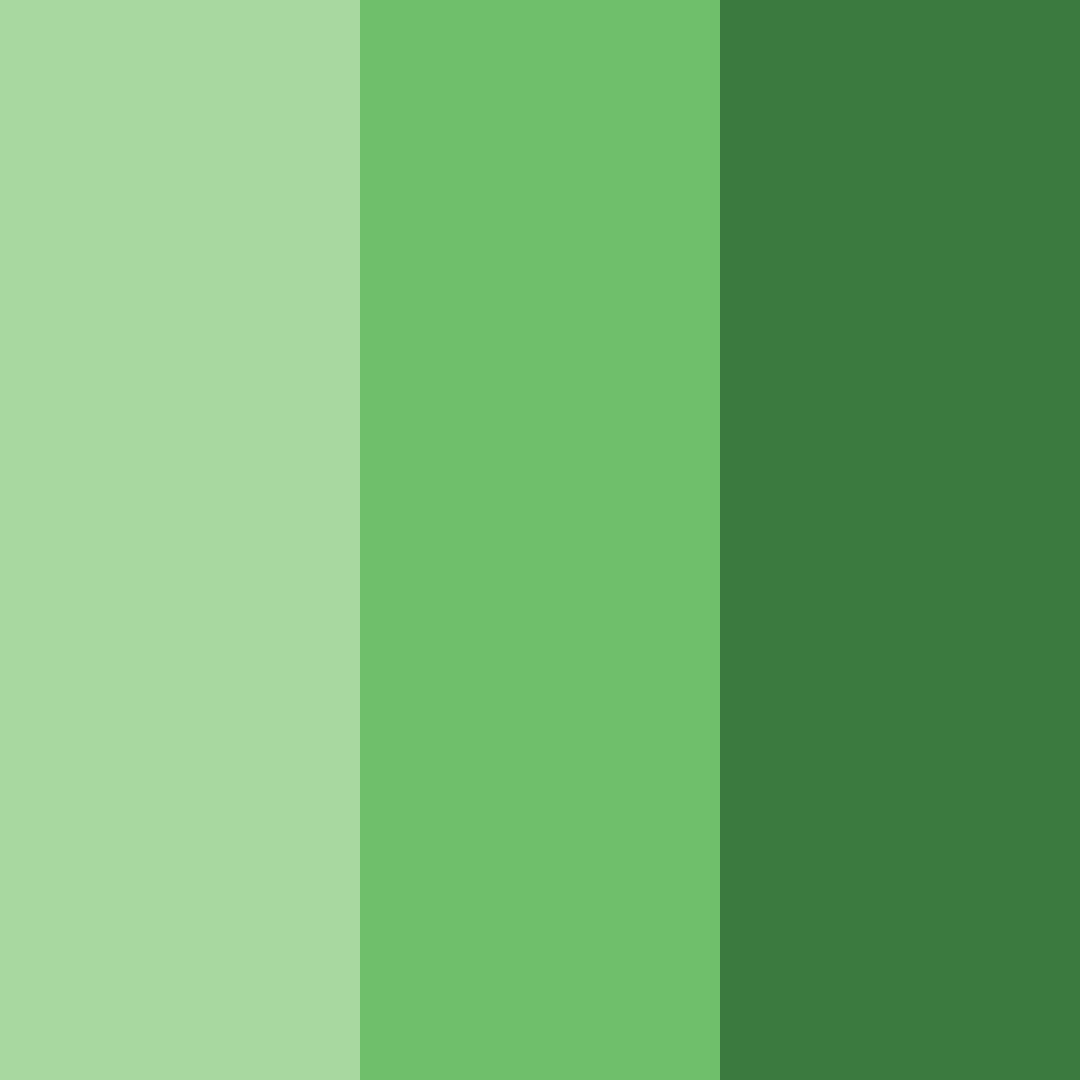Download forest green bliss color palette PNG image (square)