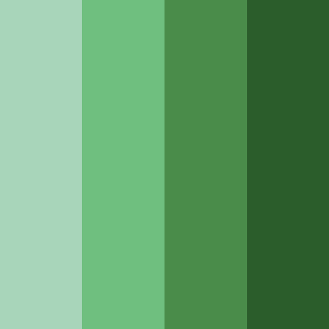 Download emerald canopy color palette PNG image (square)