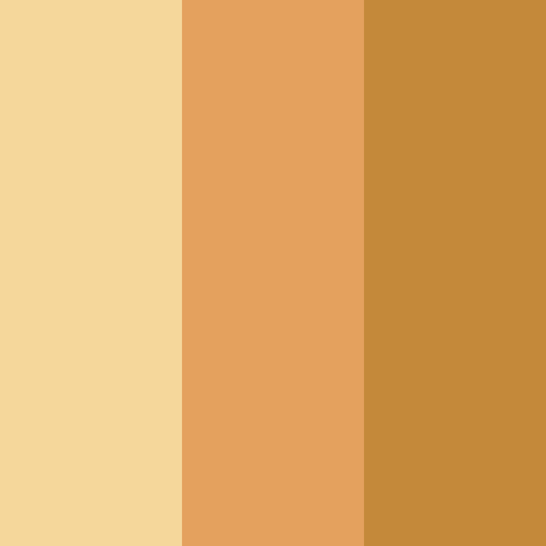 Download shades of brown color palette PNG image (square)