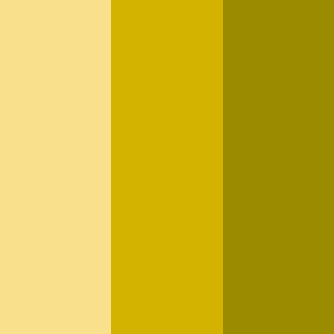 Download mustard yellow shades color palette PNG image (square)
