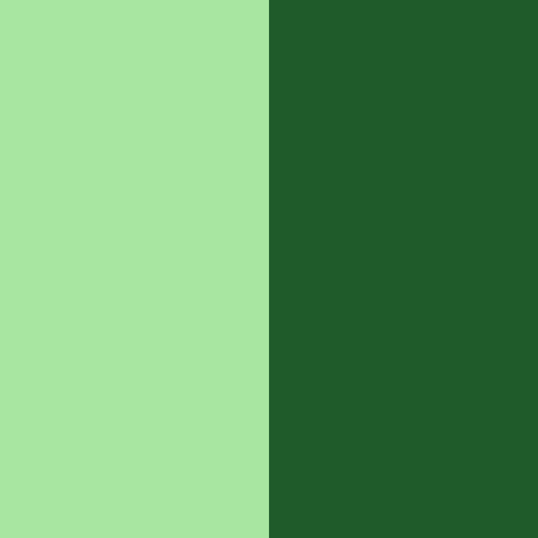 Download emerald whisper color palette PNG image (square)