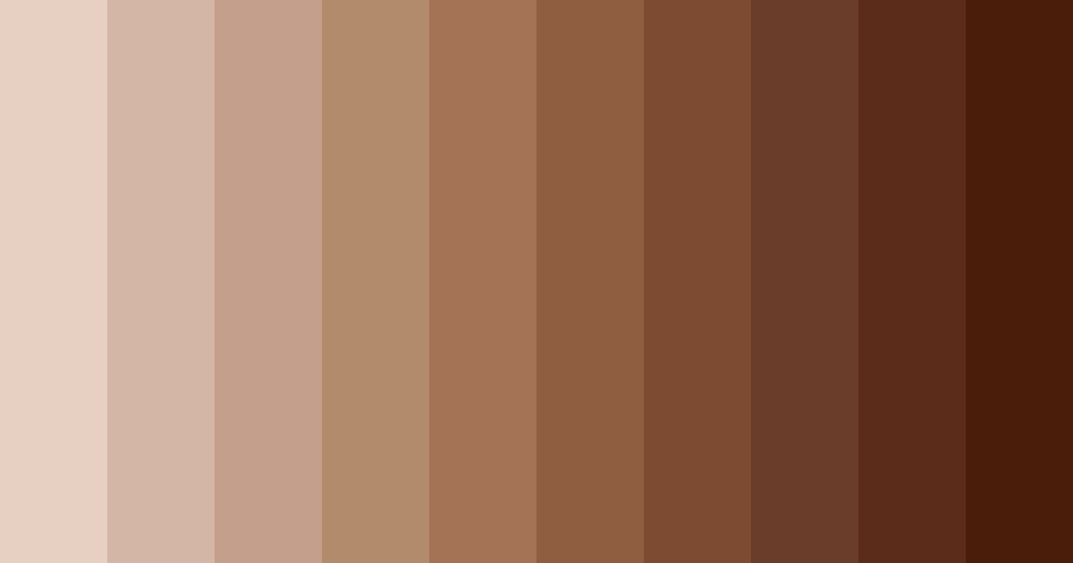 Download brown siamese cat color palette PNG image (landscape)