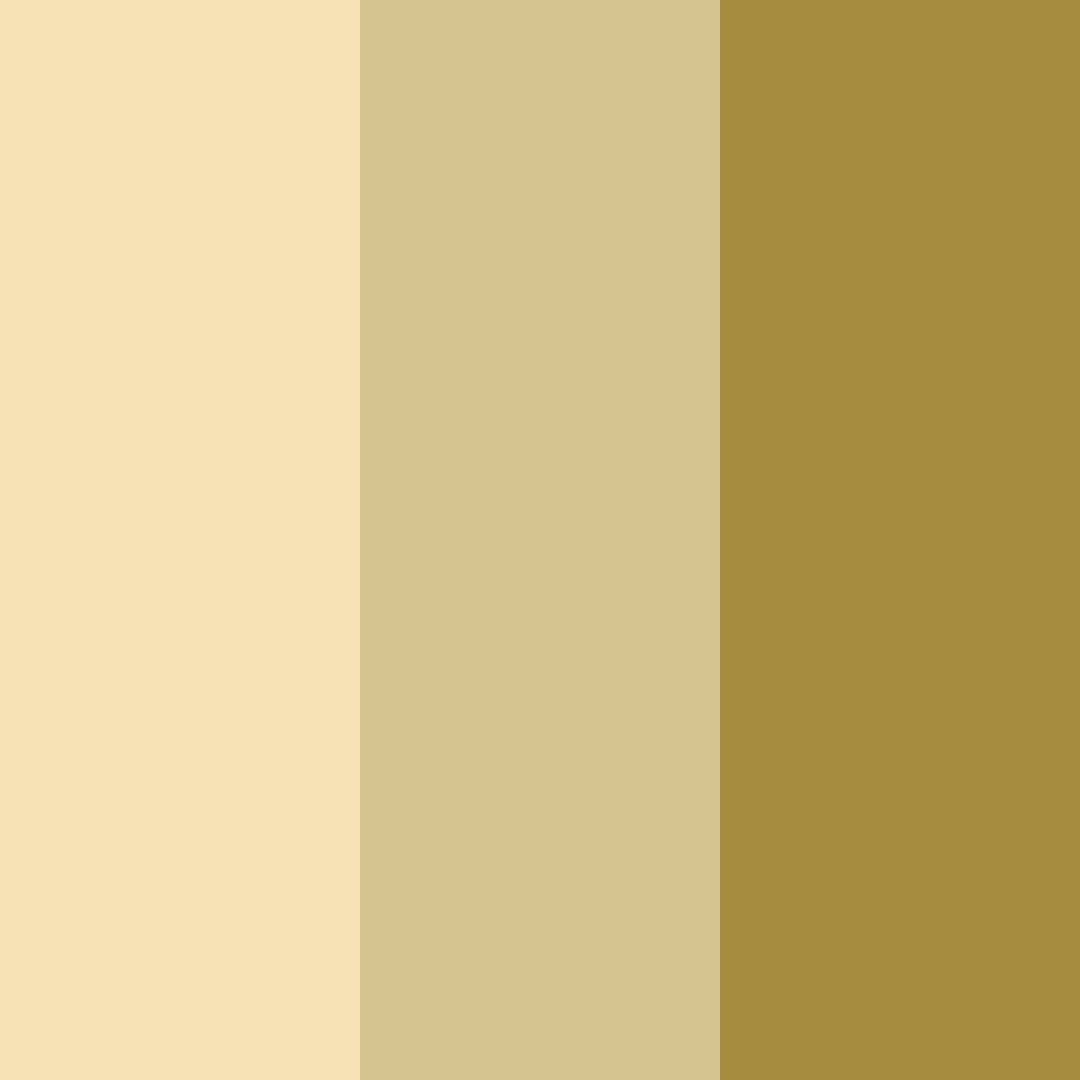 Download golden whisper color palette PNG image (square)