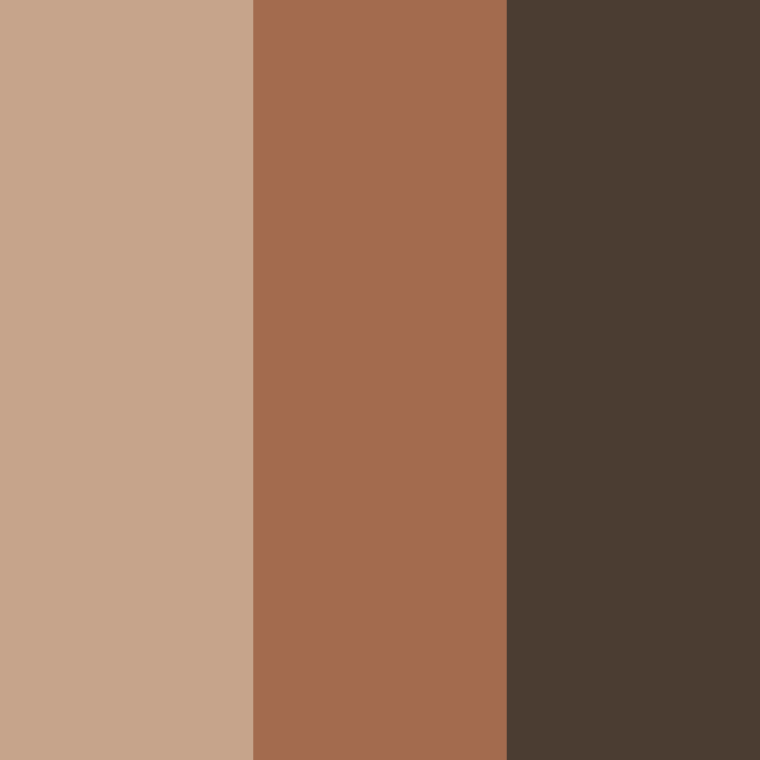Download dark coffee color palette PNG image (square)