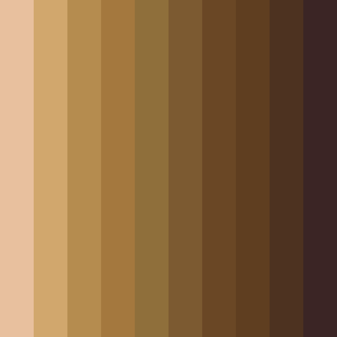 Download brown tabby color palette PNG image (square)