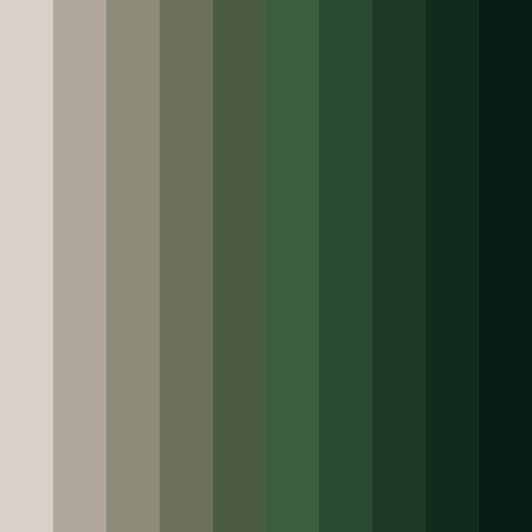 Download whiskered woods color palette PNG image (square)