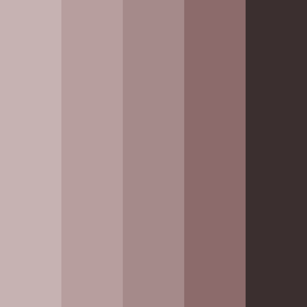 Download dark brown color palette PNG image (square)