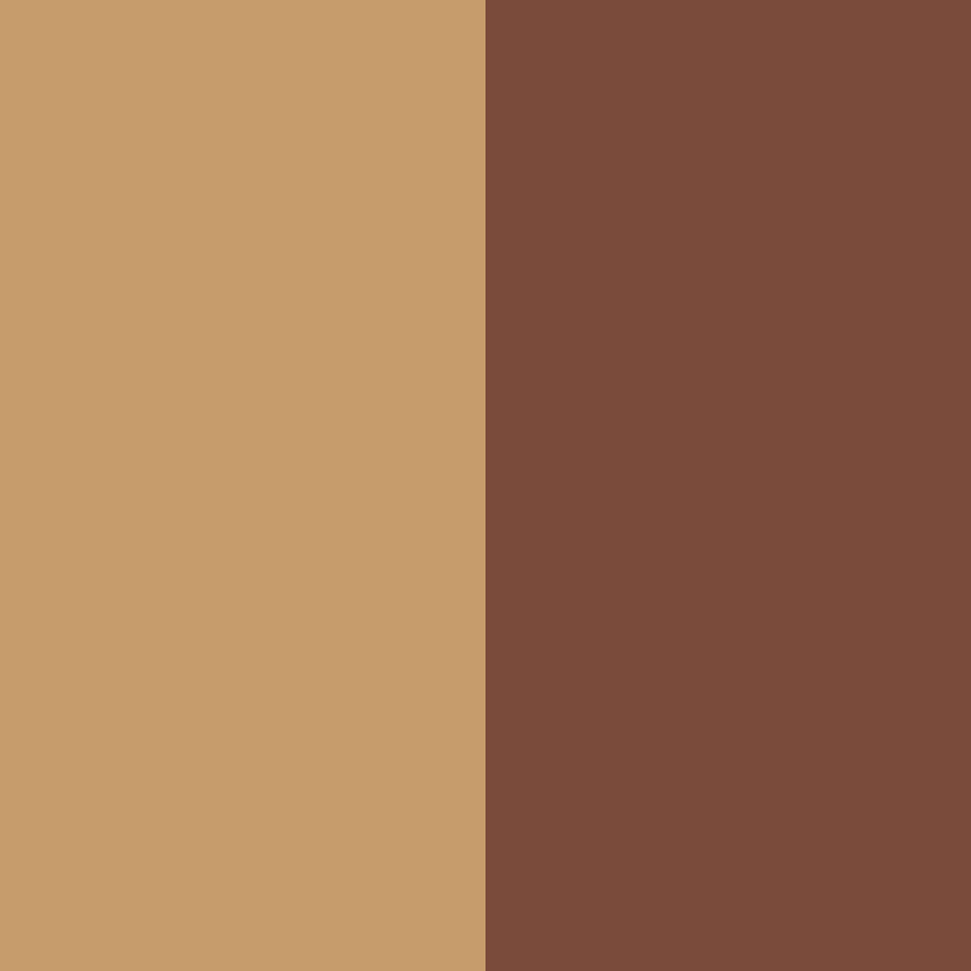 Download brown earth color palette PNG image (square)