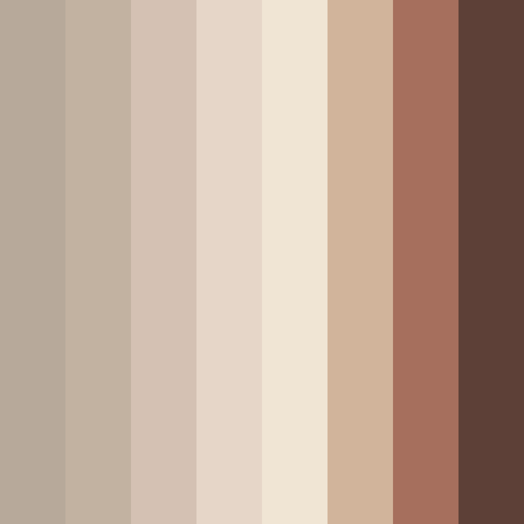 Download brown shades color palette PNG image (square)