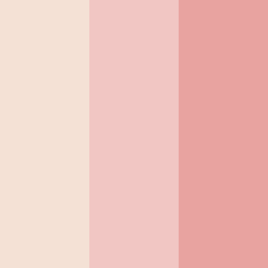 Download sweet chill delight color palette PNG image (square)
