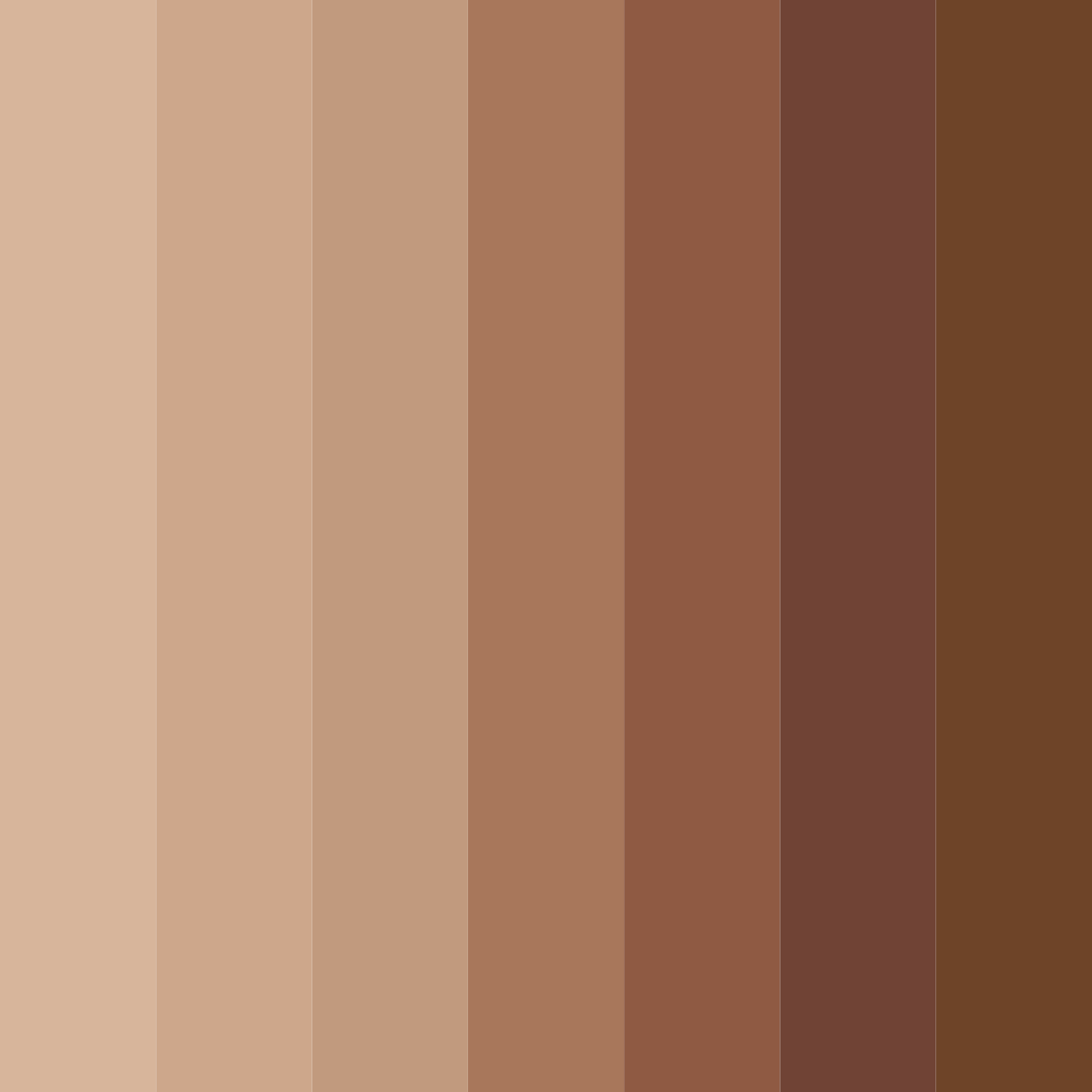 Download warm earthy embrace color palette PNG image (square)