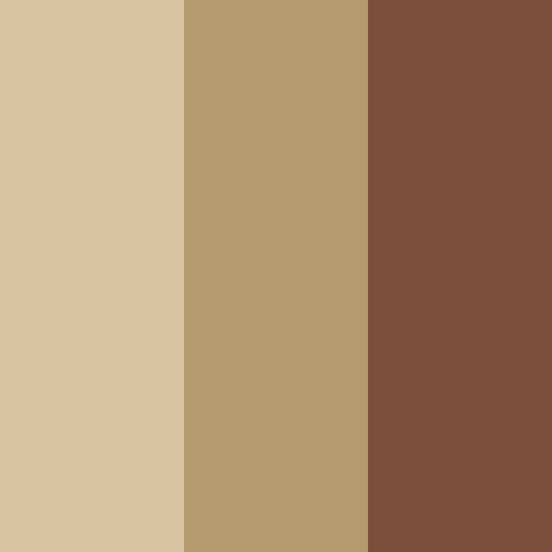 Download dark brown shades color palette PNG image (square)