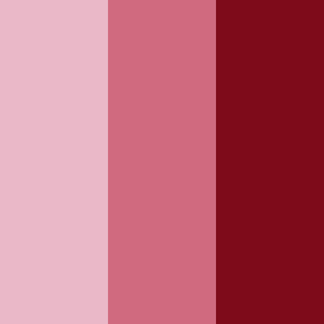 Download shades of red color palette PNG image (square)