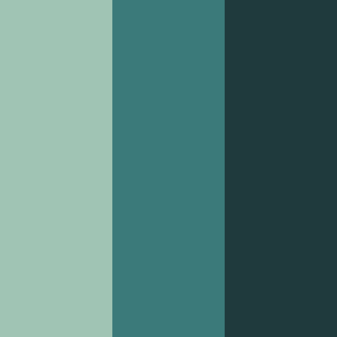 Download dark green color palette PNG image (square)