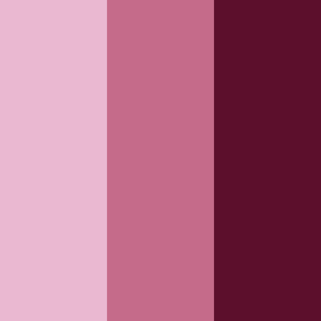 Download crimson elegance color palette PNG image (square)