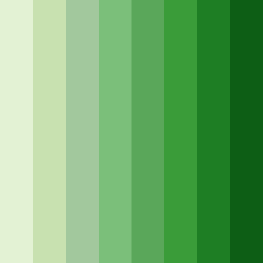 Download serene bamboo grove color palette PNG image (square)