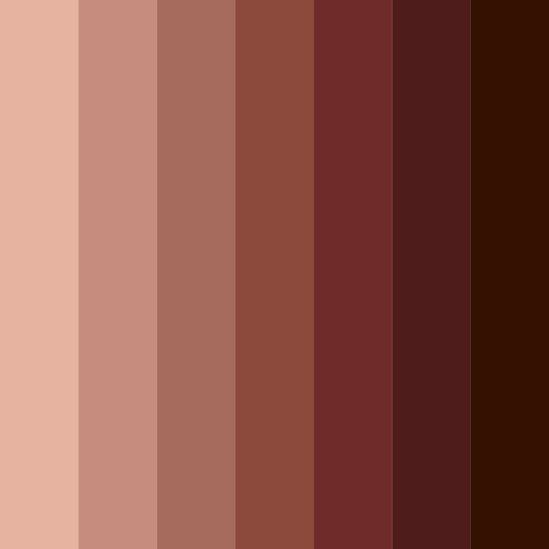 Download rustic ember color palette PNG image (square)