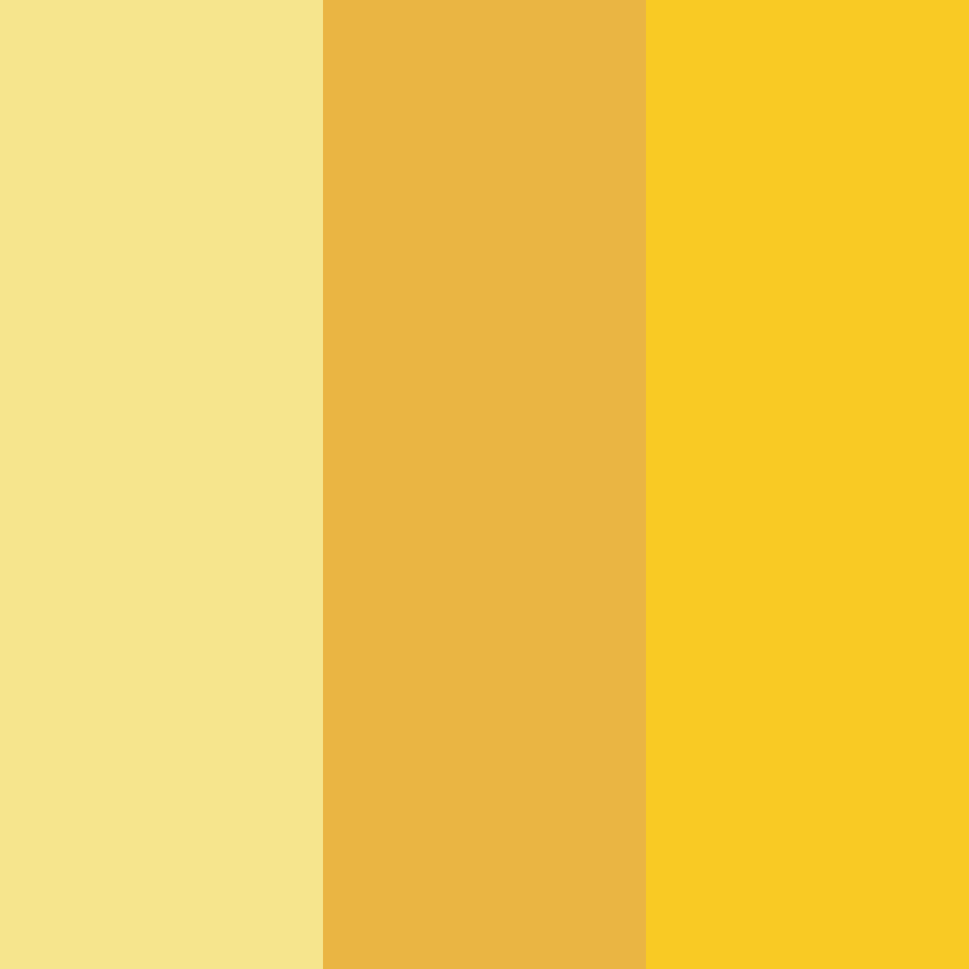 Download sunlit serenade color palette PNG image (square)