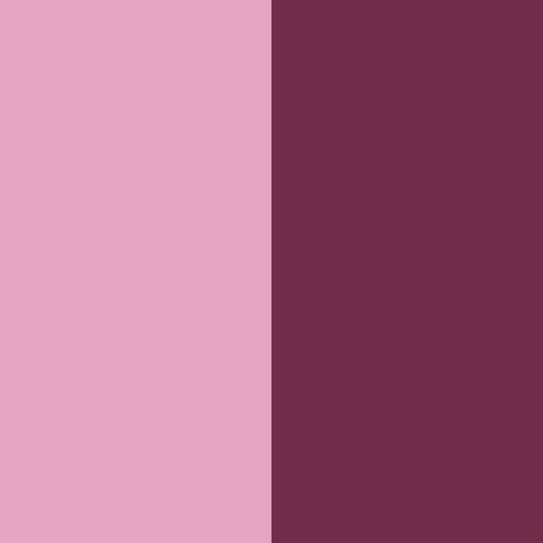 Download velvet blossom color palette PNG image (square)