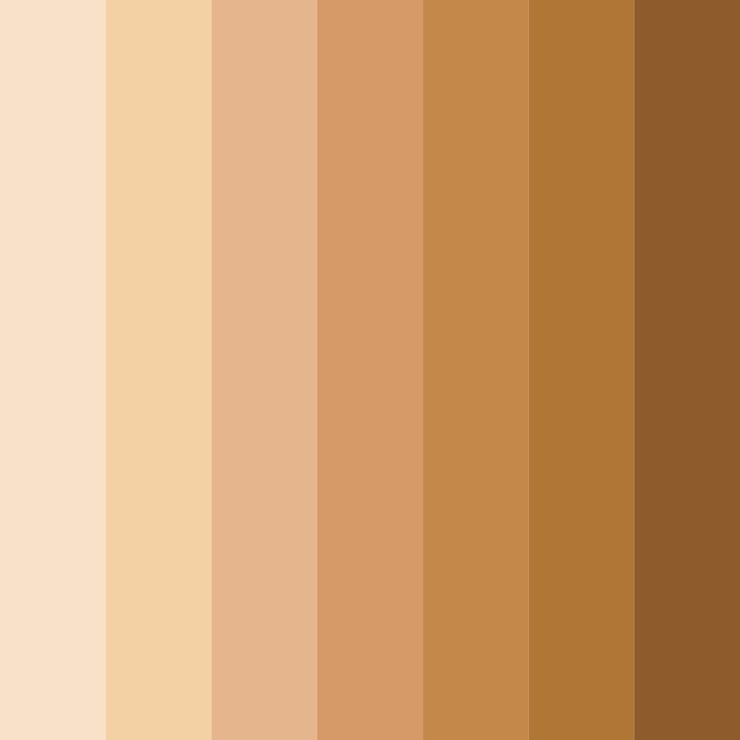 Download shades of peach color palette PNG image (square)