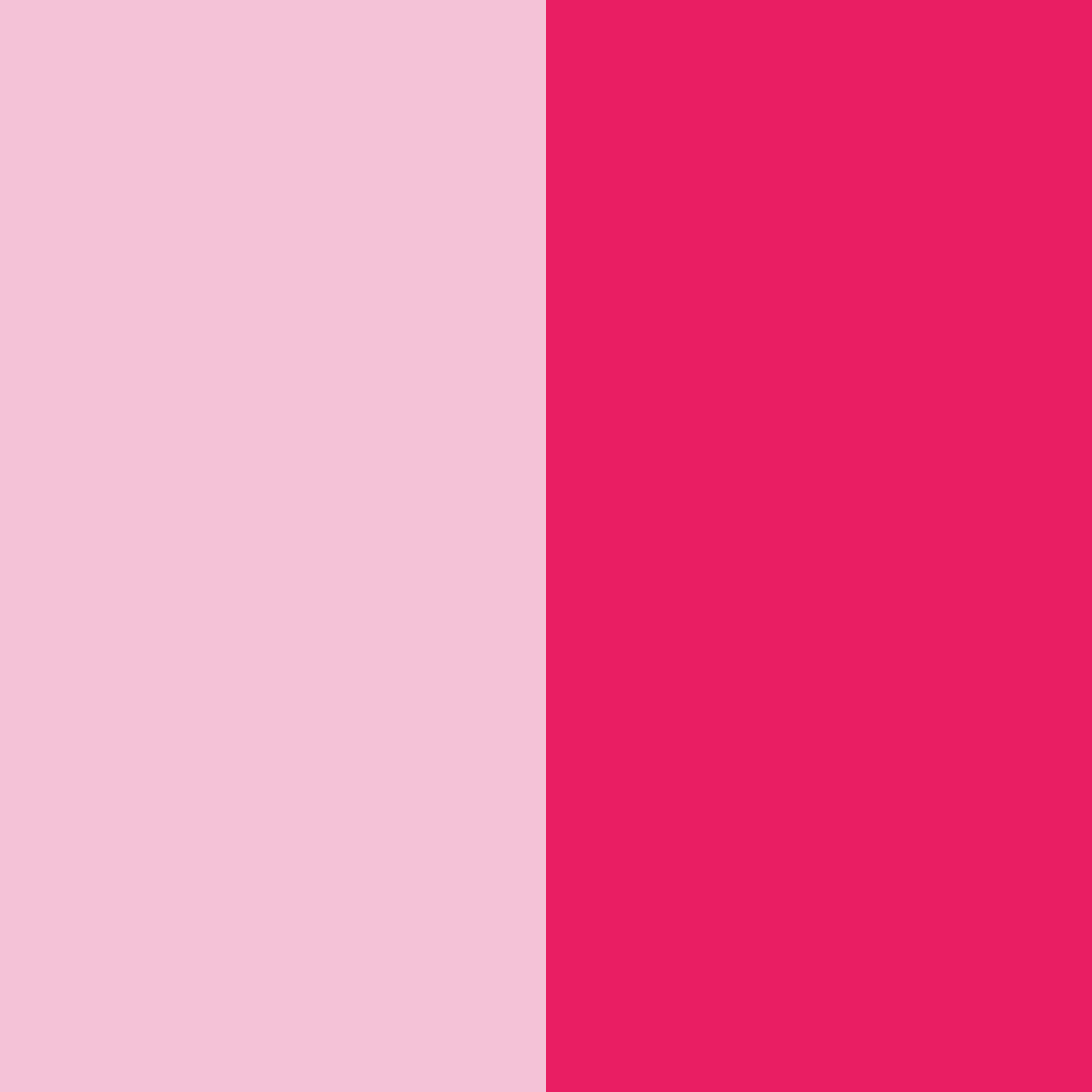 Download blushing petals color palette PNG image (square)