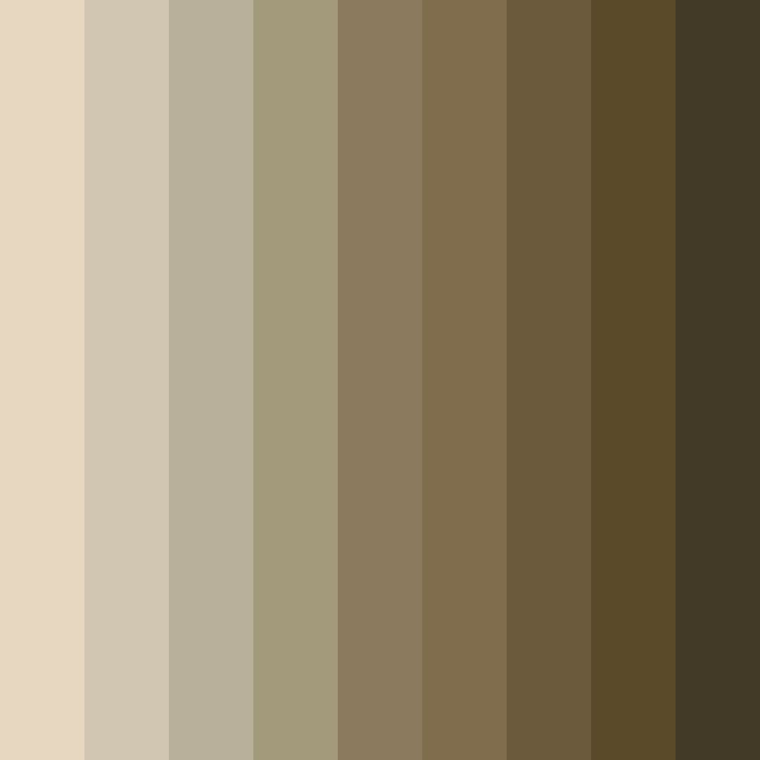 Download desert sandstone harmony color palette PNG image (square)
