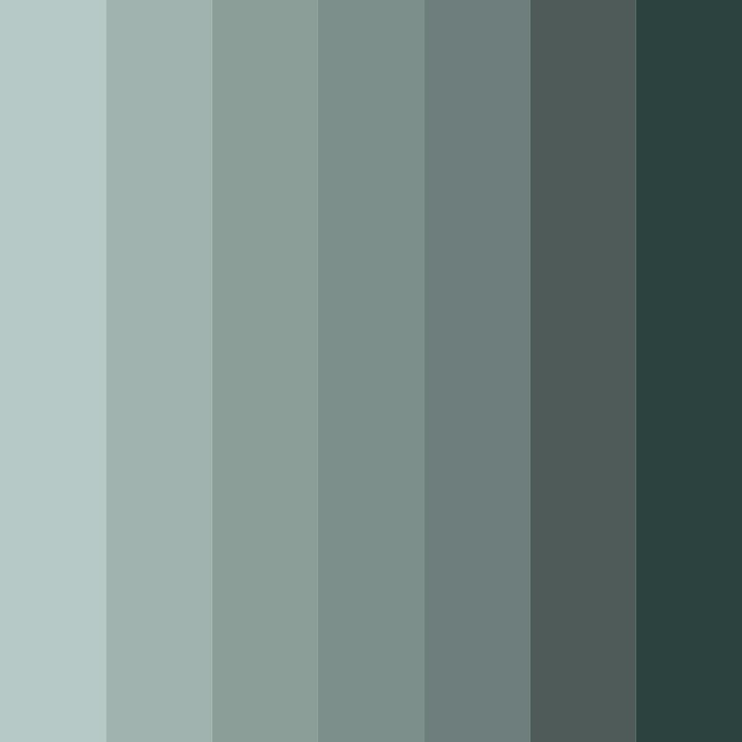 Download misty forest retreat color palette PNG image (square)
