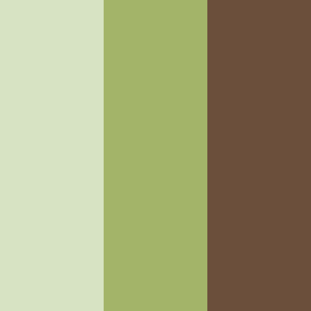 Download earthy harmony color palette PNG image (square)