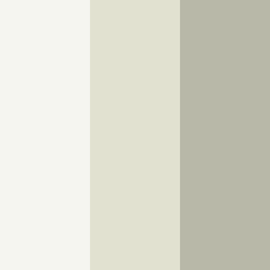 Download light white color palette PNG image (square)