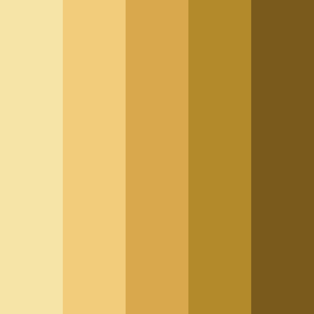 Download golden hues color palette PNG image (square)