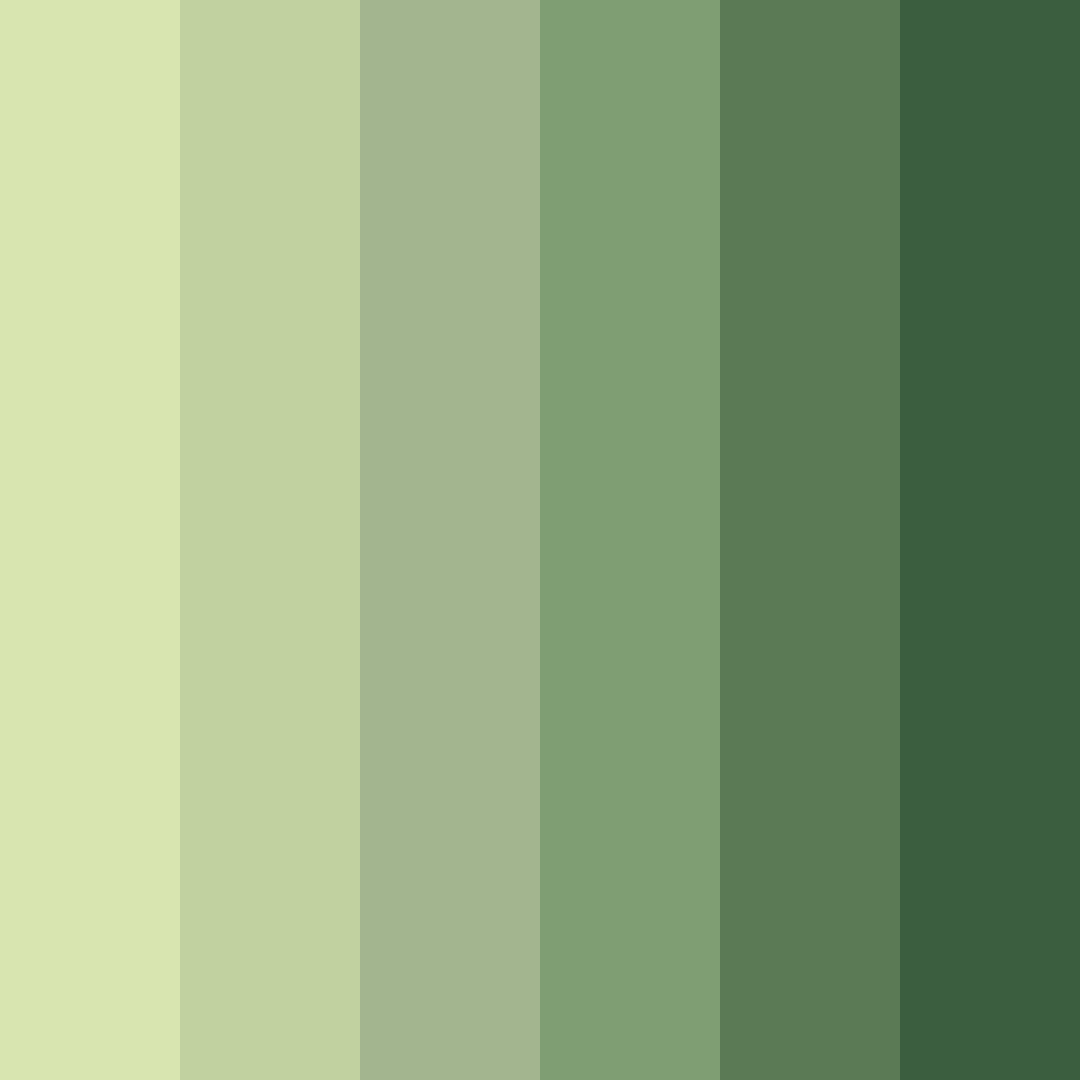 Download whispering grove color palette PNG image (square)