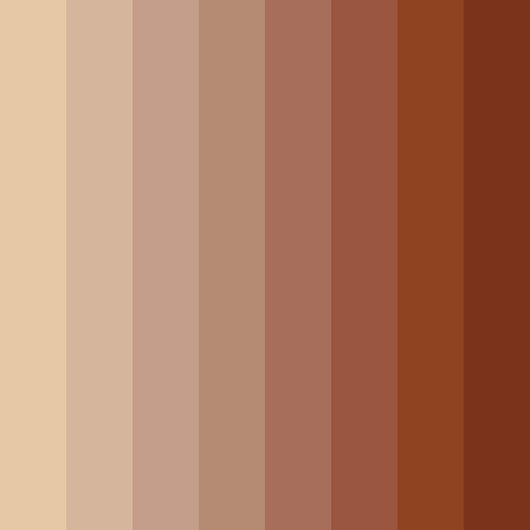 Download warm brown shades color palette PNG image (square)