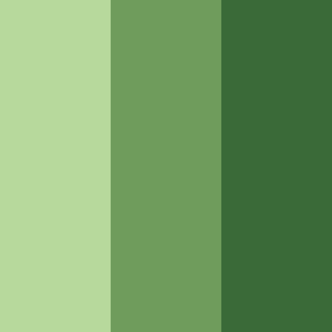 Download verdant harmony color palette PNG image (square)