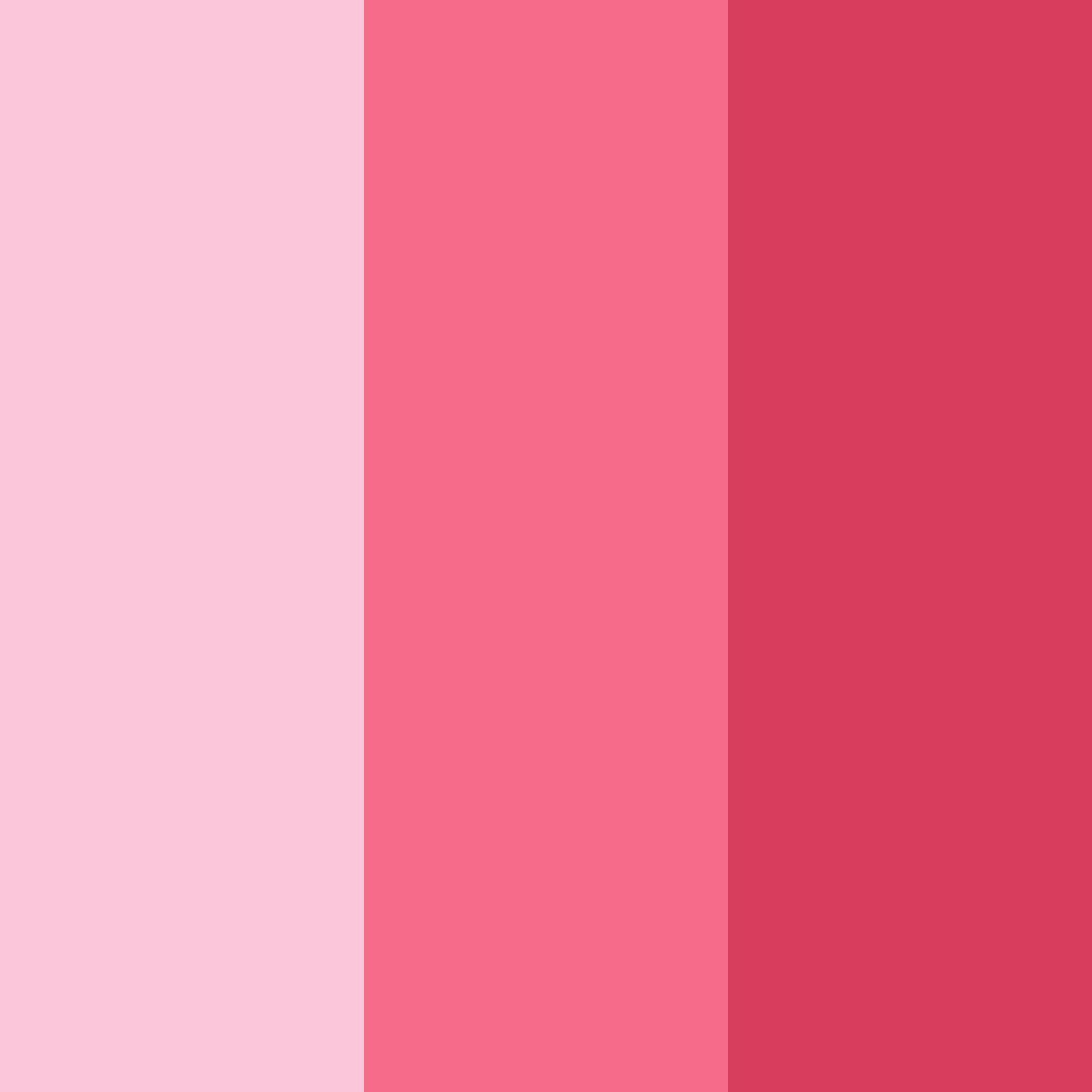 Download blossom burst color palette PNG image (square)