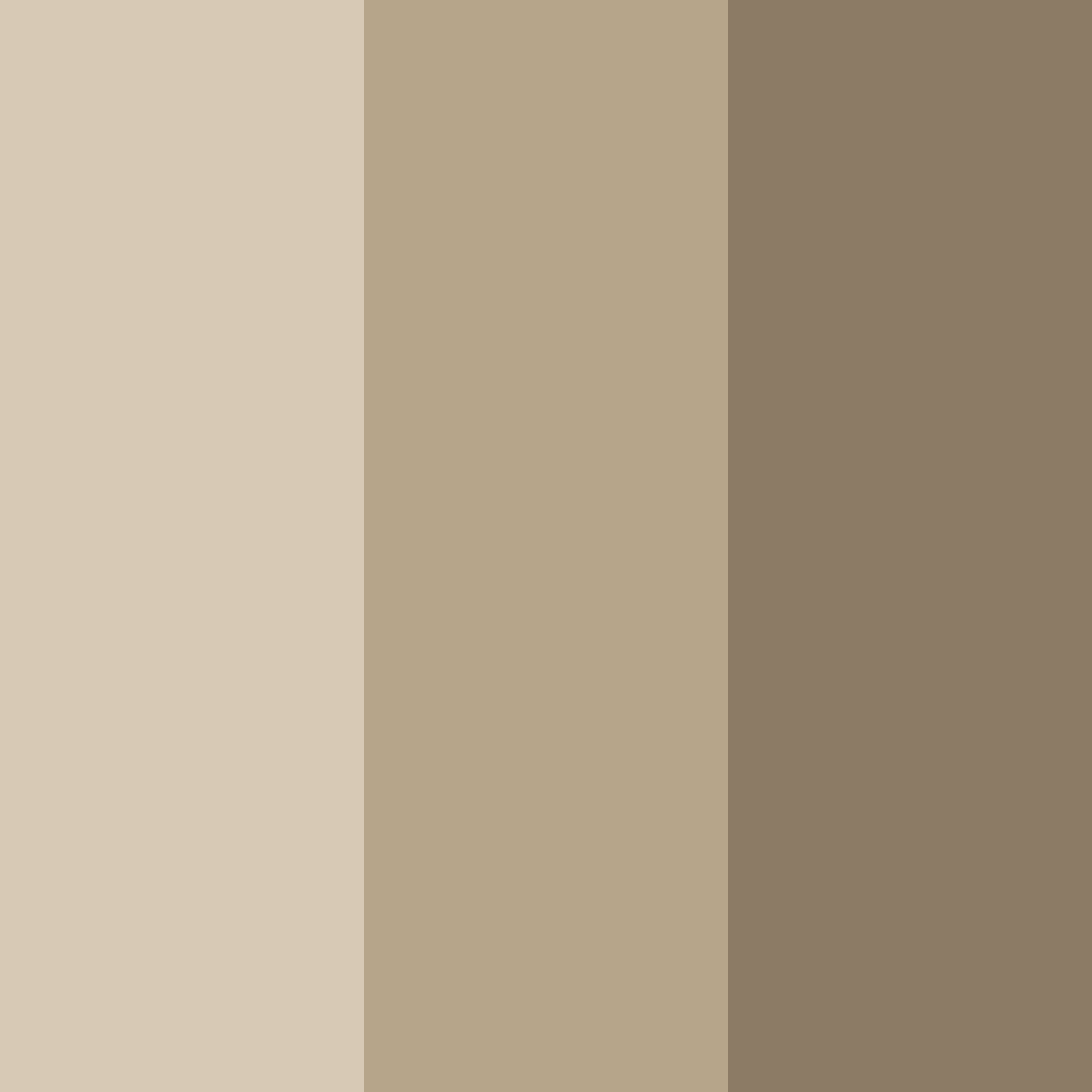 Download beige gray color palette PNG image (square)